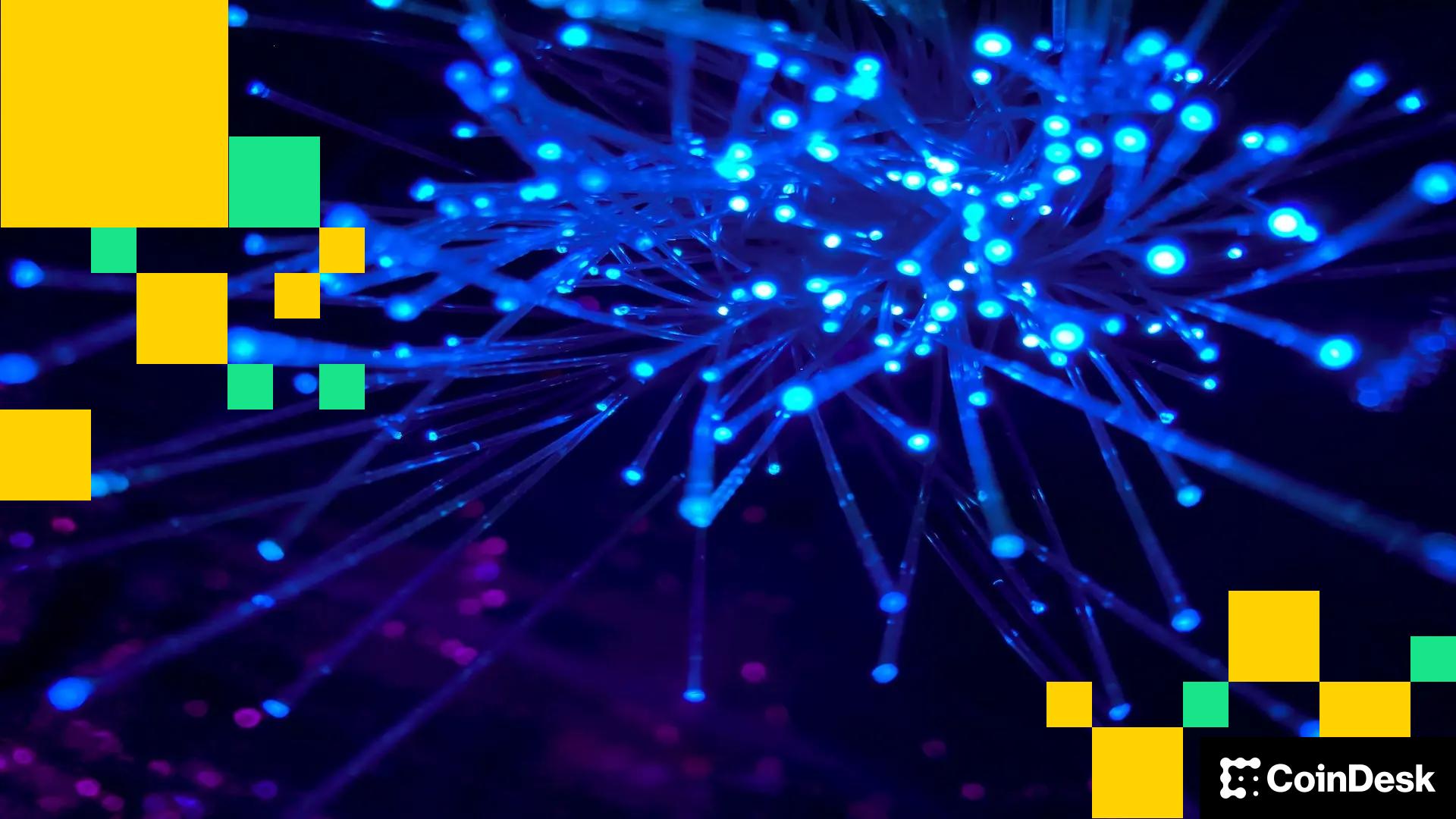 Circleâs USDC Overtakes Tether's USDT in Onchain Activity as Regulation Drives Shift: JPMorgan