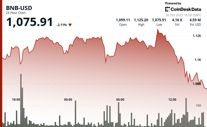 受美联储主席讲话影响，加密货币市场整体做出反应，BNB跌破支撑位。