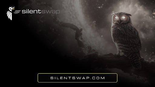 In the DeFi space, privacy is no longer a luxury, but a necessity.

Every blockchain transaction is public and permanently recorded.

Users' strategies, holdings, and behaviors are all exposed.

Institutions will only truly shift to on-chain investment when privacy becomes infrastructure, not an afterthought.

@Silentswap changes all that.

With a single API, any wallet, exchange, or DeFi platform can instantly offer untraceable cross-chain swaps.

No backend modifications required.

No custody required.

Plug and play, privacy at your fingertips #SwapSilently ✊🏼

🔗 Learn more:

Issues:

Every transaction leaves a permanent trace.

Users are being doxxed, and wallet activity is being tracked.

Without privacy, institutional funds cannot flow.

Privacy is transforming from a "nice-to-have" to an essential infrastructure.

Solution:

Add SilentSwap's API to your platform in just minutes. Your users simply toggle a "private transactions" switch—no extra steps, no complicated operations, and no new custody models required.

Launch privacy features as easily as adding a payment gateway.

Importance:

🔹 For your platform:

Add privacy features in days, not months. Keep your technology stack intact. Offer features your competitors can't provide.

🔹 For your users:

Untraceable transactions, complete control over assets, cross-chain flexibility.

🔹 For your business:

Gain new revenue streams, attract institutional clients, and stay ahead of regulatory requirements with advanced privacy features.

Quick Overview:

⚡️ Speed: 30 seconds – 2 minutes

💸 Fees: 1% total

🔐 Custody: No custody required

🌐 Privacy Level: 16 customizable options

🔗 Support: Most major blockchains

Building privacy features shouldn't be difficult, and SilentSwap makes it a breeze.

Integration takes only minutes.

Officially launching next week.

Providing users with the privacy they deserve.

#SilentSwap #DeFiPrivacy #Web3 #CrossChain #API #Blockchain