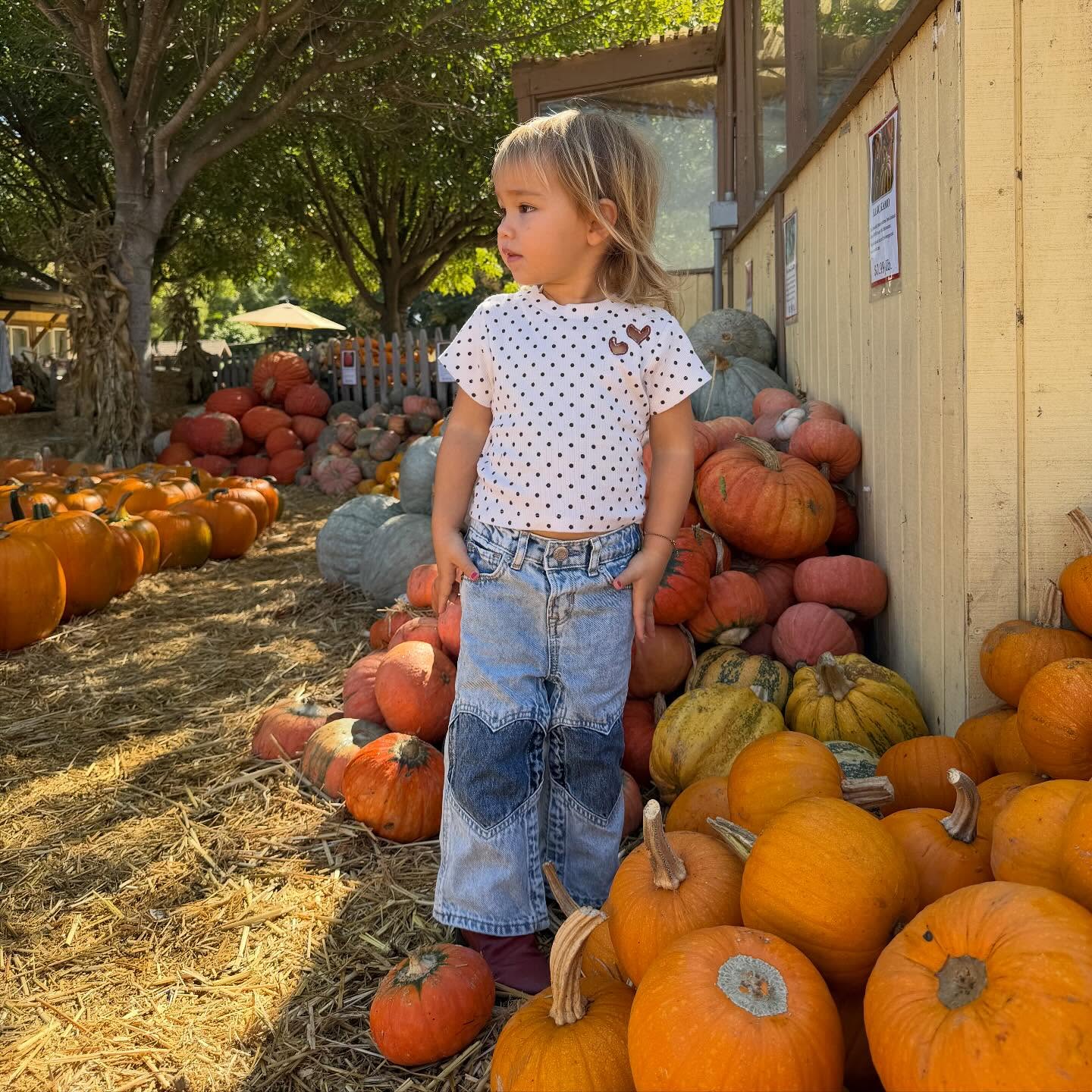 十月真的太开心了💛💛💛💛💛💛