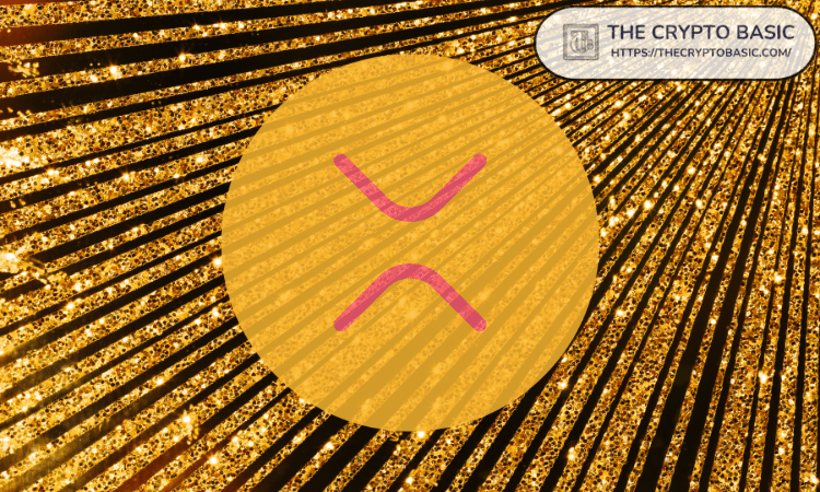 加密货币创始人解释持有 XRP 最难的部分