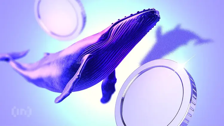 机构投资者对比特币和以太坊的需求激增