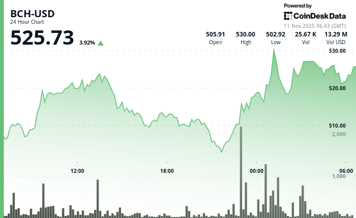 比特币现金小幅上涨 0.71% 至 524.31 美元，突破 520 美元阻力位。