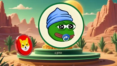 500 美元的柴犬币 (SHIB) 与 500 美元的小佩佩币 (LILPEPE)：哪种表情包币能让你在一年内赚到 5 万美元？