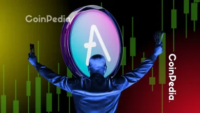 随着链上交易量创历史新高，AAVE价格有望突破2倍。