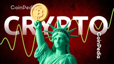 今日加密货币新闻【实时】更新（2025年11月13日）