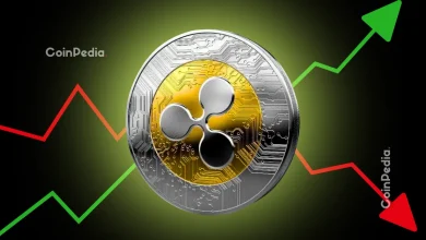 XRP价格为何下跌？尽管推出了XRP ETF，但其价格下跌背后的真正原因是什么？