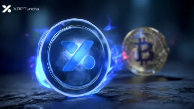 比特币行情低迷时，XRP 还是好的投资选择吗？全新质押平台揭示时机的重要性