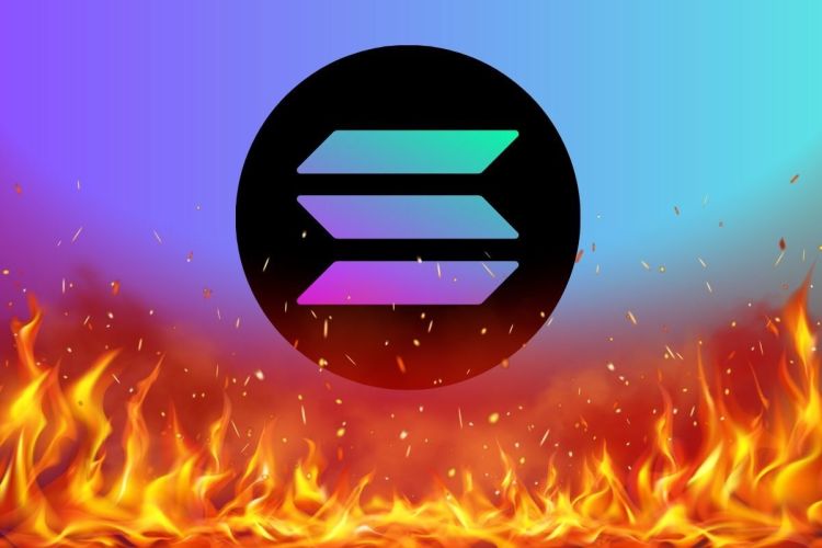 这位分析师曾预测比特币将在 2021 年跌破 2 万美元，如今他又带来了关于 Solana 的惊人预测。