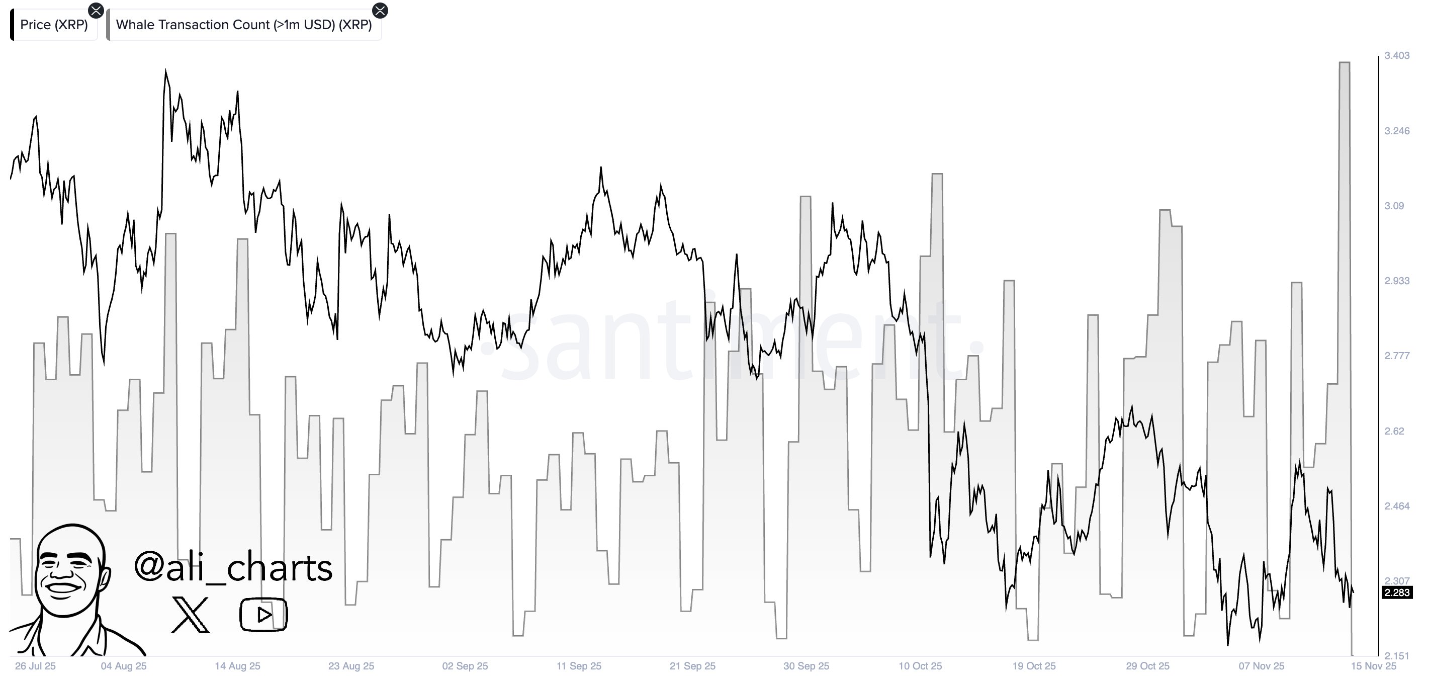 XRP有望出现罕见的7.16亿美元链上巨鲸交易异常，XRP价格即将突破
