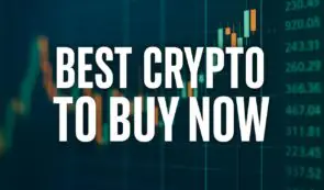 11月最热门的加密货币预售活动