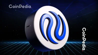 2025年注射剂价格预测：10月份的底部能否引发另一轮多年上涨行情？