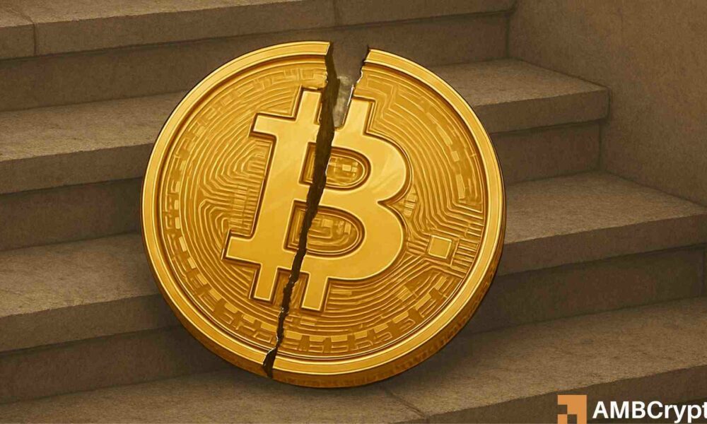 Bitwise首席执行官称比特币的第四周期将会打破——“2026年将是开放的一年”。