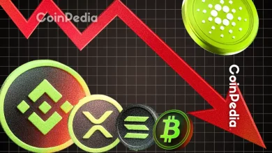 今日加密货币清算金额高达 8.01 亿美元；2025 年 Altseason 的下一步是什么？