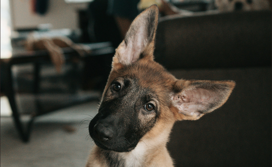 亚洲早间简报：就连预测市场也未能预见到比特币的抛售潮
