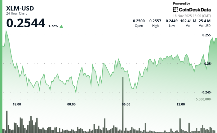 XLM下跌3.2%至0.25美元，山寨币清洗仍在继续