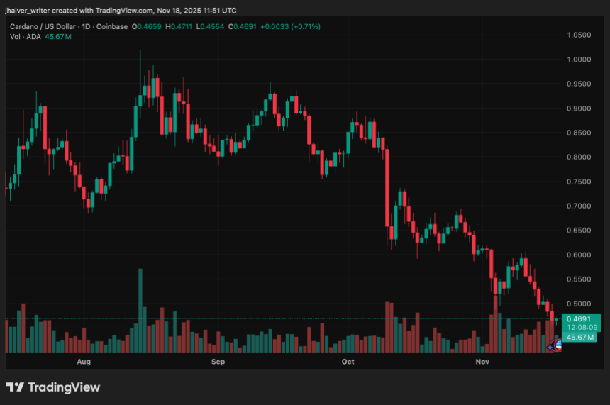 Cardano 价格走势岌岌可危：巨鲸损失引发抛售，ADA 风险降至 0.43 美元至 0.30 美元区间