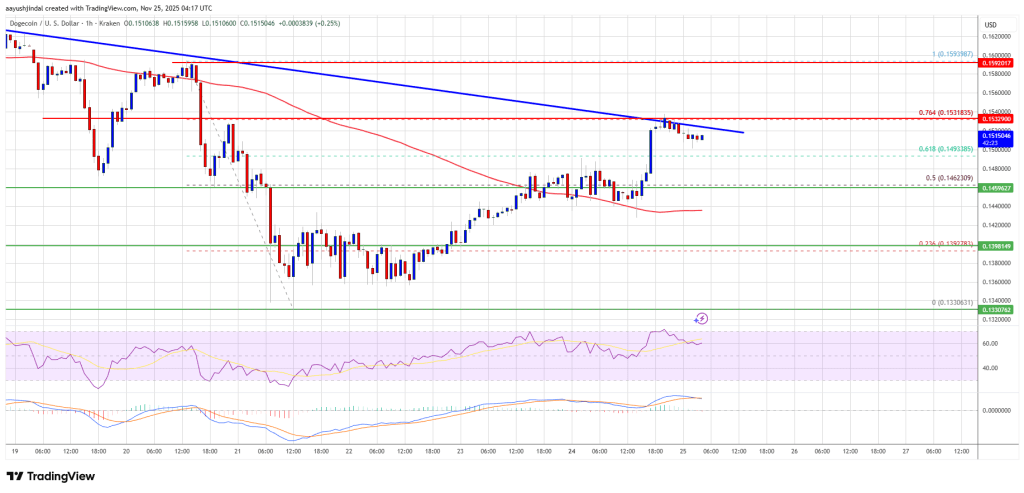 狗狗币 (DOGE) 遭遇阻力，反弹势头初现减弱迹象