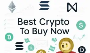 现在最值得买入的加密货币：分析师称，这7种加密货币在本轮周期中可能表现优于比特币。