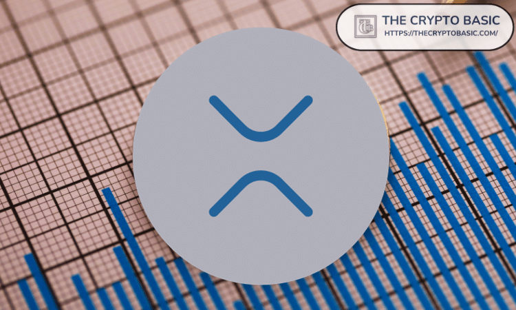 分析师：这正是我用 XRP 为您准备的。