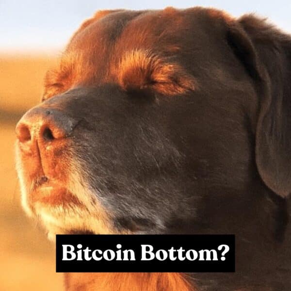 比特币价格发出底部信号，短期持仓者纷纷投降