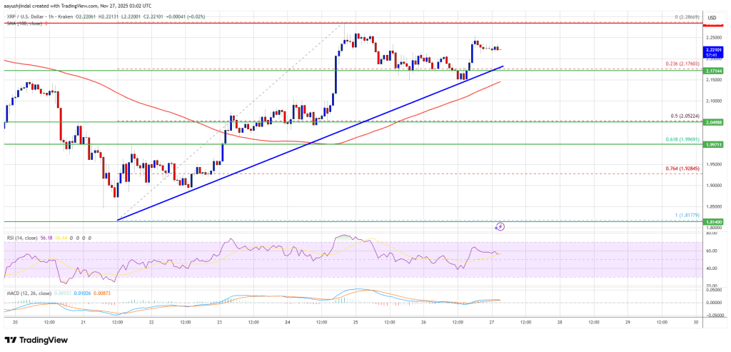 XRP价格上涨势头暂停，而BTC和ETH加速复苏