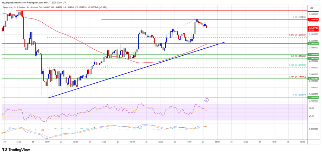 狗狗币 (DOGE) 走势稳健，交易员密切关注上方关键阻力位。
