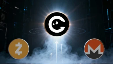 最值得买入并长期持有的隐私币，潜在收益巨大