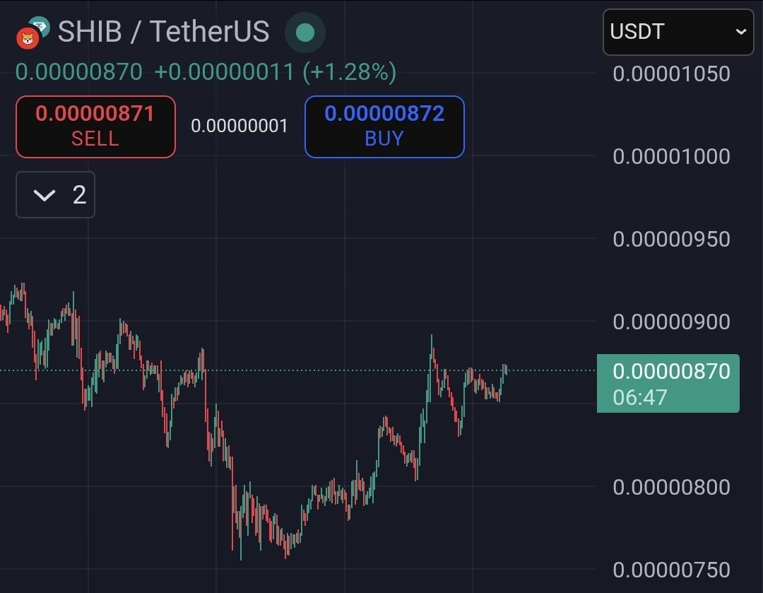 分析师预测，随着牛市回归，柴犬将迎来激动人心的走势。