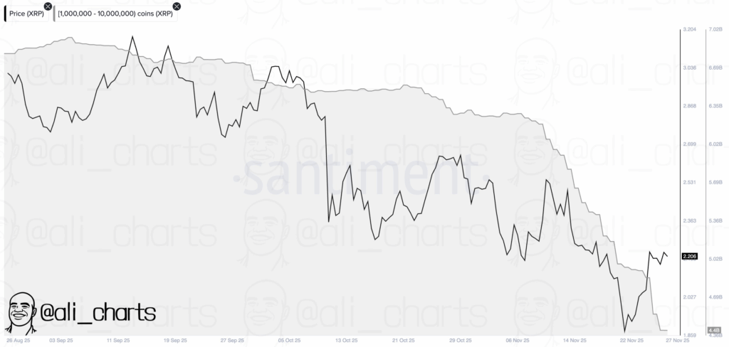 XRP新闻：巨鲸买入4.6亿枚代币，价格飙升12%，接下来会发生什么？