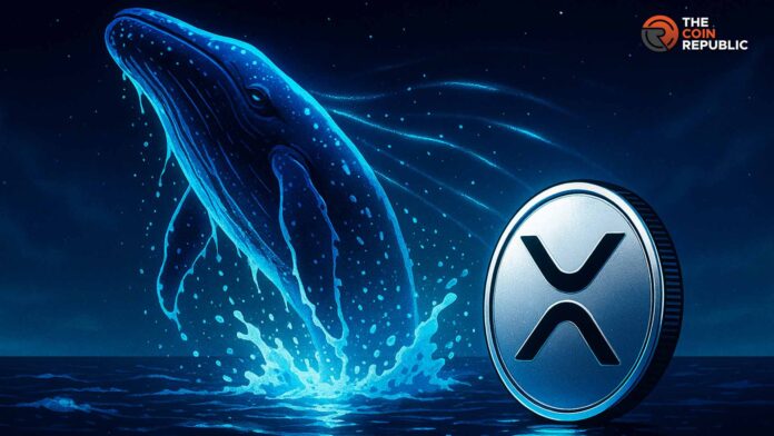 XRP新闻：巨鲸买入4.6亿枚代币，价格飙升12%，接下来会发生什么？