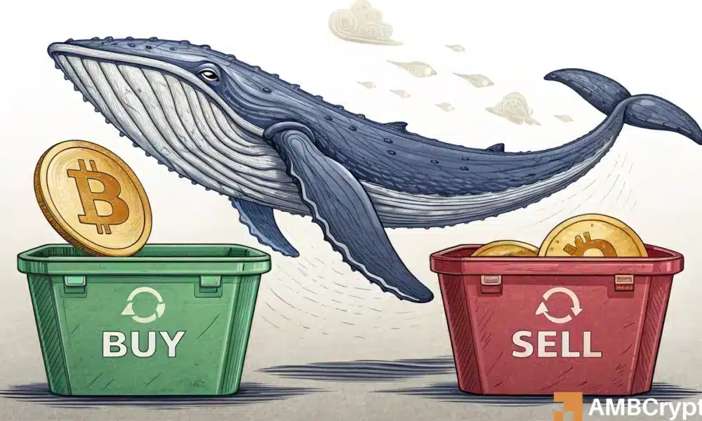 从恐慌到布局：比特币巨鲸如何为12月做好准备