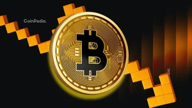 比特币价格暴跌并非因为抛售，而是因为买家消失了。比特币价格还能回升吗？