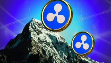 Ripple获准在新加坡拓展支付业务