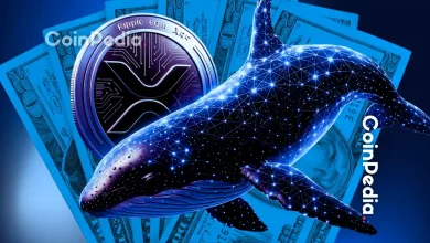 XRP富豪榜出现巨鲸大量买入