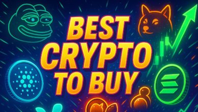 XRP能否保持领先地位？Remittix以PayFi为中心的生态系统或将成为加密支付领域的下一个巨头。