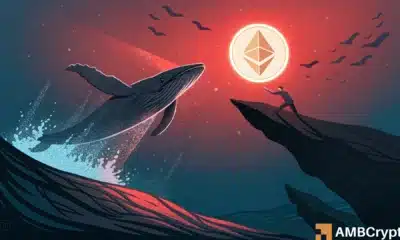 以太坊杠杆损失 64 亿美元，而巨鲸却在不断增持——原因如下