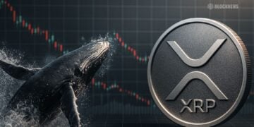 XRP价格疲软引发巨鲸大量买入——以下是它可能推动价格反弹的原因。