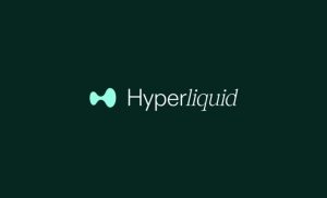 Hyperliquid Strategies获准进行10亿美元的融资和HYPE代币储备。
