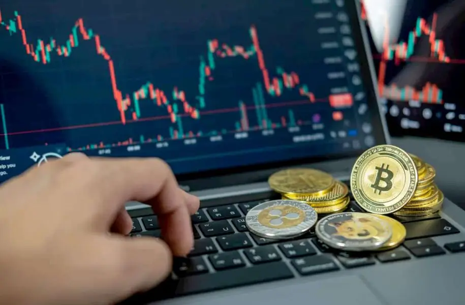 报告：投资者声称谨慎——但他们的交易却表明并非如此