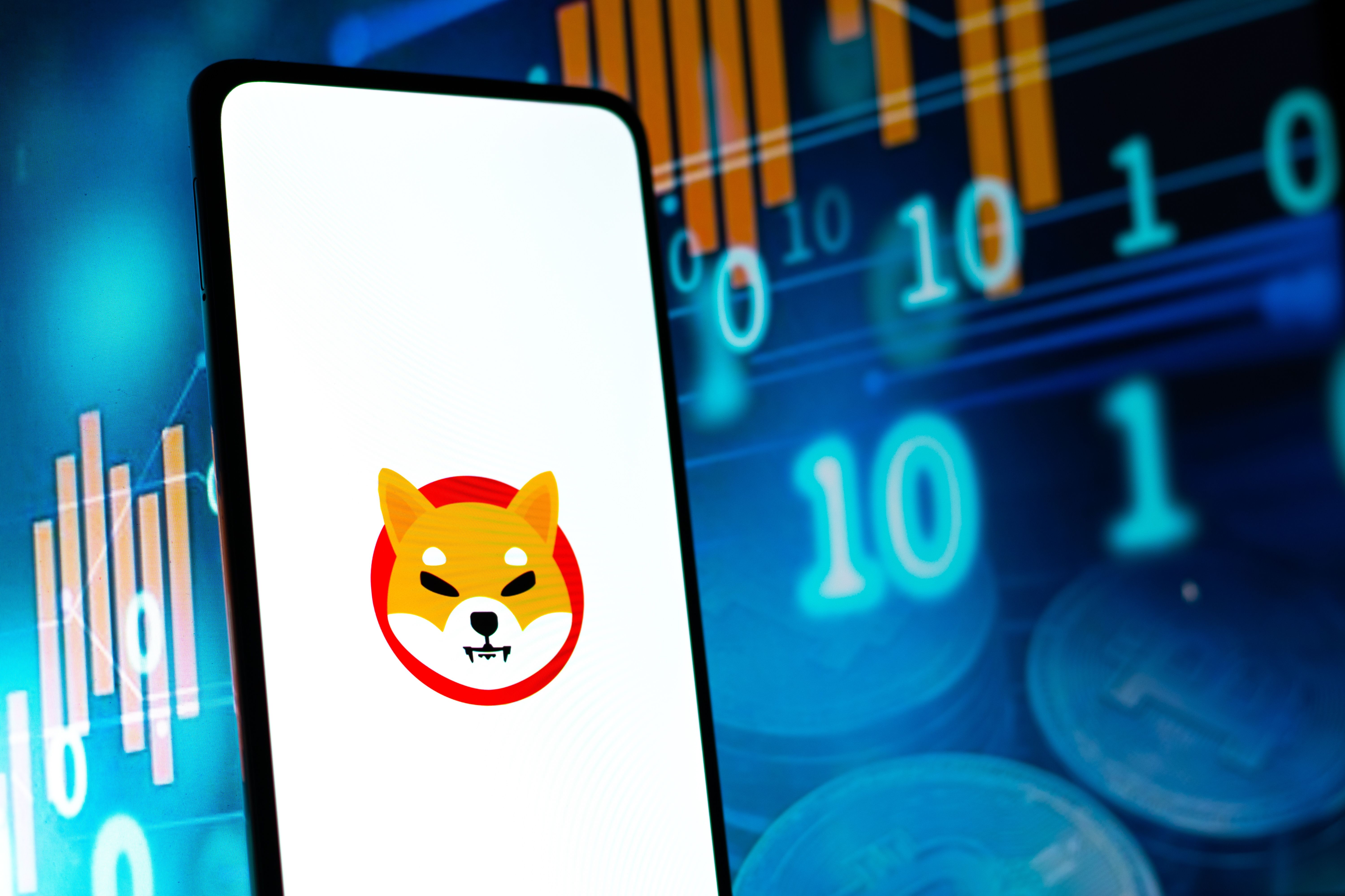 Shiba Inu Whale Withdraws 169 Billion SHIB From Coinbase Amid Market Slump