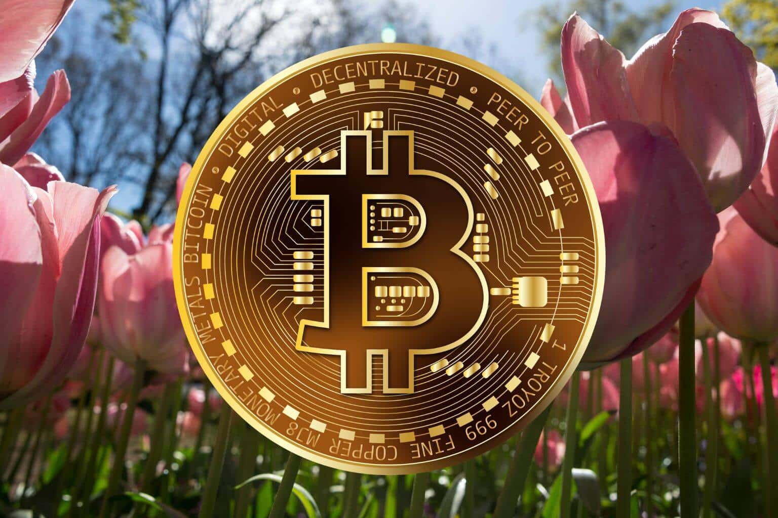 Bitcoin Finally Shakes the Tulip Bubble Label After 17 Years, Says Eric Balchunas