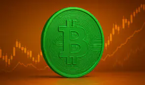 比特币现金表现惊艳市场，成为年度表现最佳的 Layer-1 代币。