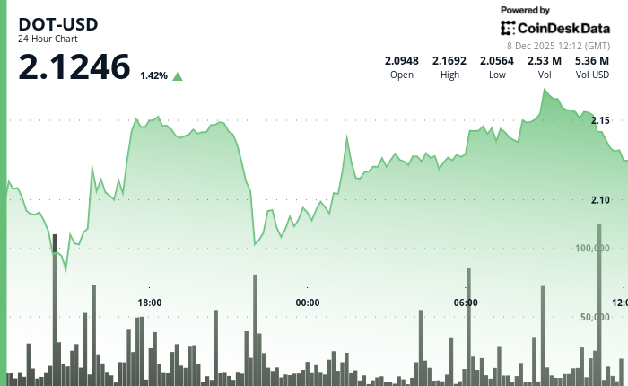 Polkadot 的涨幅逊于整体加密货币市场