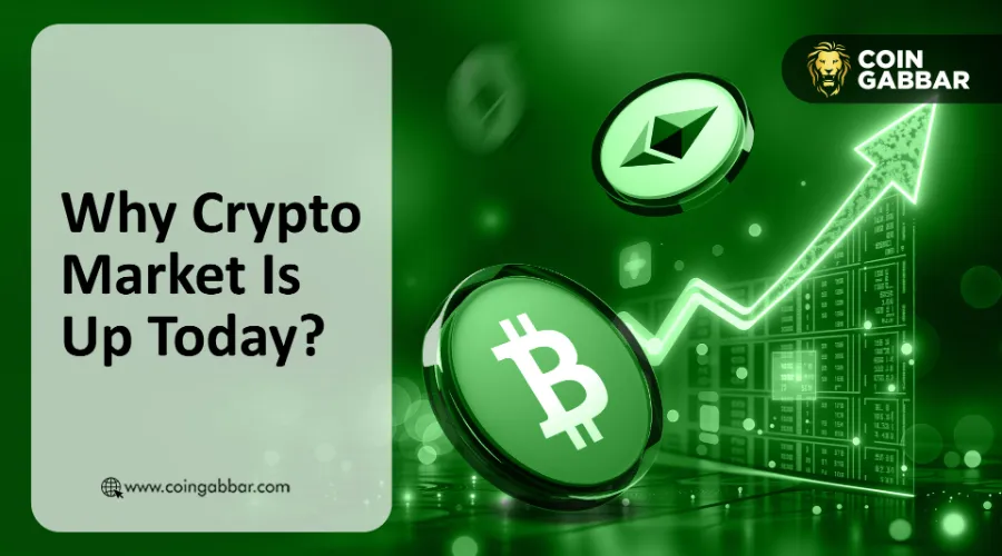 Spur Protocol 空投快照 12 月 15 日：查看 $SON 预售详情