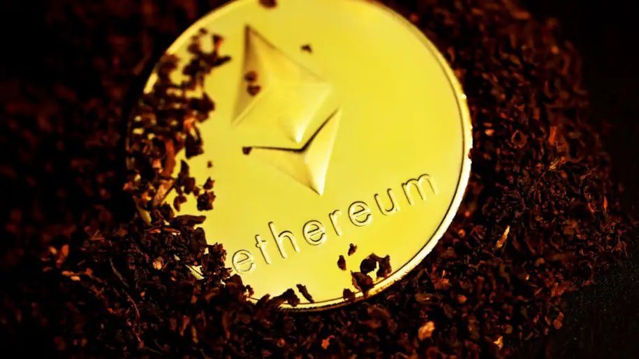 以太坊顶级编码项目揭示了网络下一个增长周期的哪些信息