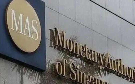 How can companies implement Singapore's AI Risk Management Guidelines?