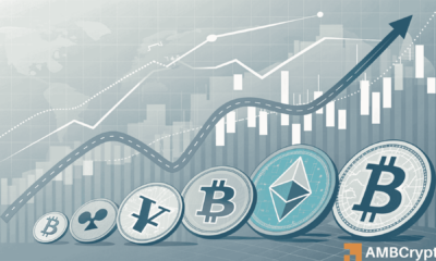 排放冲击：特朗普和梅拉尼娅的竞选活动因流通供应量三个月内翻番而损失86%至99%