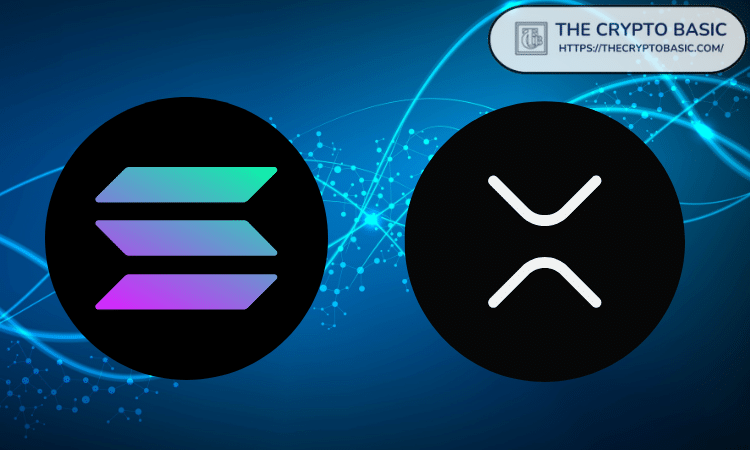 EasyA创始人表示，Solana现在“更看好XRP而非SOL”