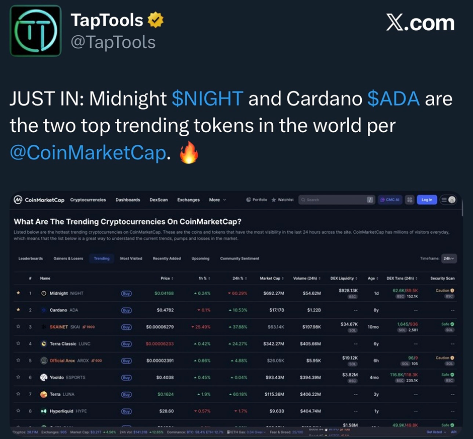 Midnight 的隐私币策略能否帮助 Cardano 保持竞争力？
